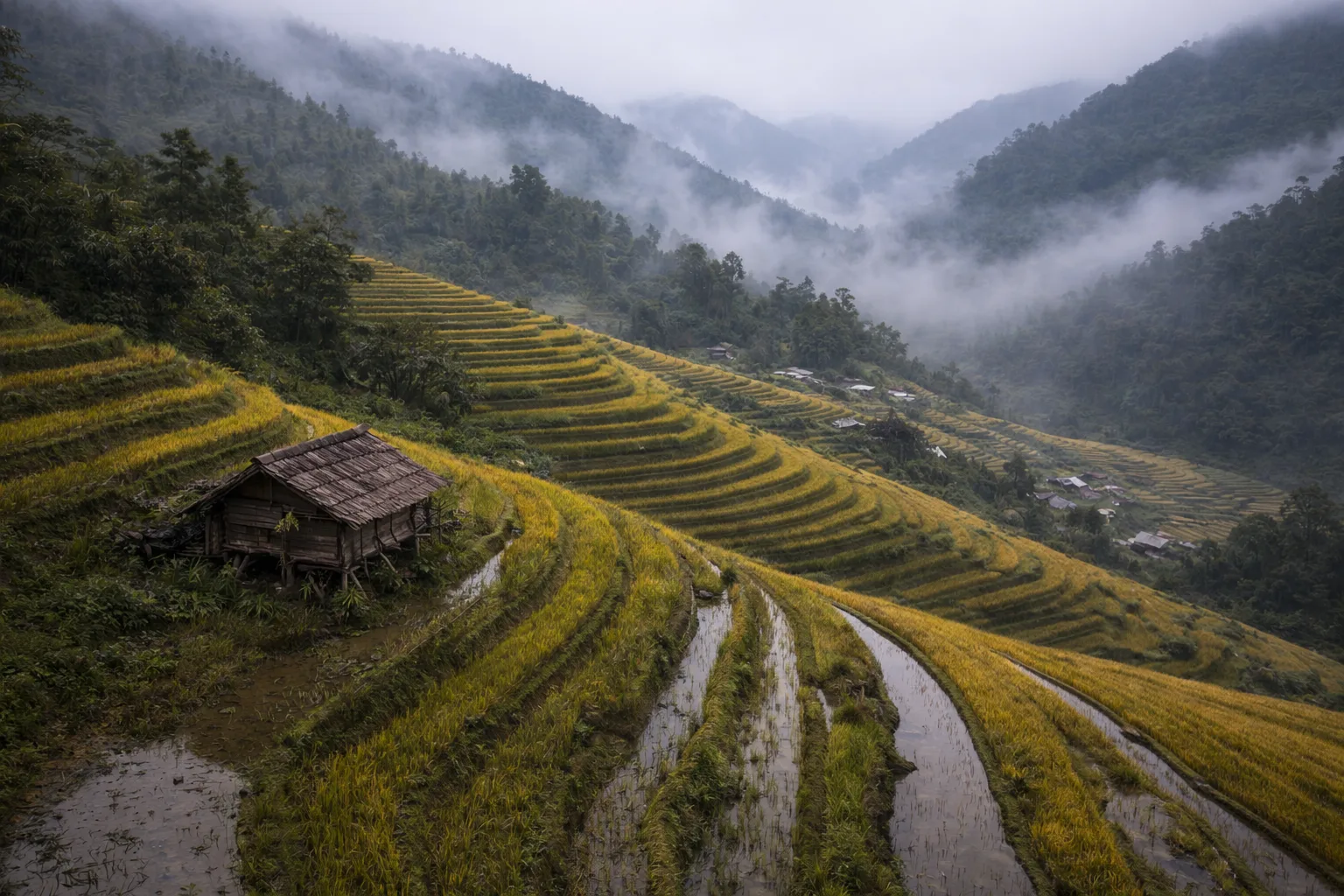 Qué ver en Sapa, Vietnam: arrozales y trekking